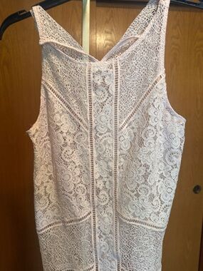 Express Lace Sleeveless V-Neck Dress in Blush Pink